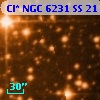 Cl* NGC 6231     SS      21