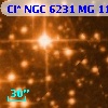 Cl* NGC 6231     MG     113
