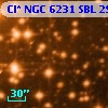 Cl* NGC 6231    SBL     294