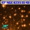 Cl* NGC 6231     SS      43