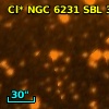 Cl* NGC 6231    SBL     315