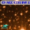 Cl* NGC 6231    BVF     130