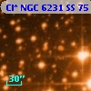 Cl* NGC 6231     SS      75