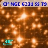 Cl* NGC 6231     SS      79