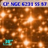 Cl* NGC 6231     SS      87