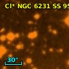 Cl* NGC 6231     SS      95