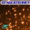 Cl* NGC 6231    BVF     113