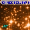 Cl* NGC 6231    BVF      98