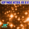 Cl* NGC 6231     SS     115