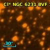 Cl* NGC 6231    BVF     176