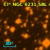 Cl* NGC 6231    SBL     493