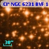 Cl* NGC 6231    BVF     110