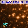 Cl* NGC 6231     SS     135