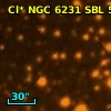 Cl* NGC 6231    SBL     589