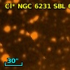 Cl* NGC 6231    SBL     624