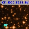 Cl* NGC 6231    BVF     213