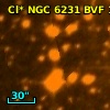 Cl* NGC 6231    BVF     100