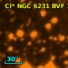 Cl* NGC 6231    BVF     116