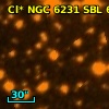 Cl* NGC 6231    SBL     683