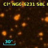 Cl* NGC 6231    SBL     696