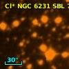 Cl* NGC 6231    SBL     704
