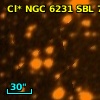 Cl* NGC 6231    SBL     737