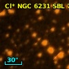 Cl* NGC 6231    SBL     742