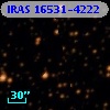 IRAS 16531-4222