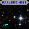 IRAS 16537-4338