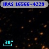 IRAS 16566-4229