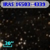 IRAS 16503-4339