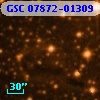 GSC 07872-01309