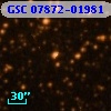 GSC 07872-01981