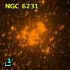 NGC  6231