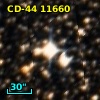 CD-44 11660