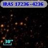 IRAS 17236-4236