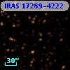 IRAS 17289-4222