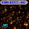 EXMS B1722-442
