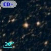 CD-44 12013