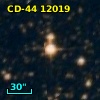 CD-44 12019