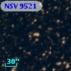 NSV  9521