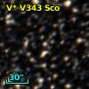 V* V343 Sco