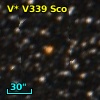 V* V339 Sco