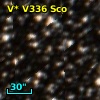 V* V336 Sco