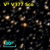 V* V377 Sco
