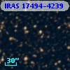 IRAS 17494-4239
