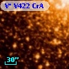 V* V422 CrA