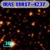 IRAS 18017-4237