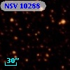 NSV 10288