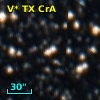 V* TX CrA